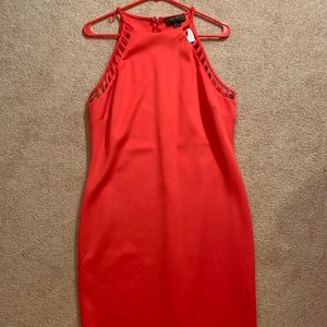 little red dress